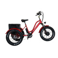 Factory Outlet Disc Brake Electric Powered Tricycle